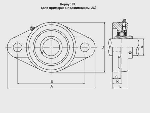 Корпус подшипниковый чугунный  FL 206 SNR, Фото