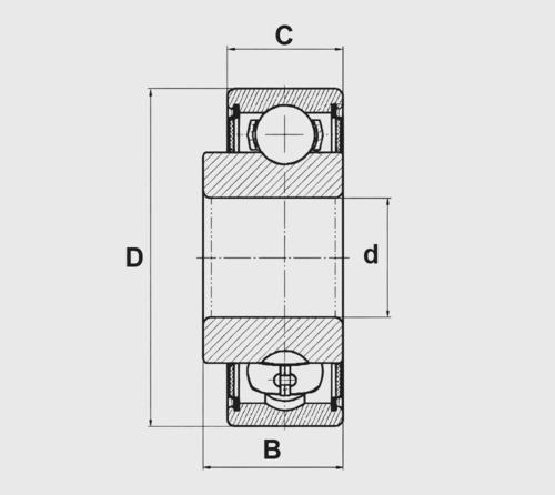 Подшипник  204FRK BCA, Фото