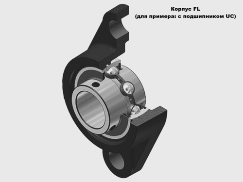 Корпус подшипниковый чугунный  FL 206 SNR, Фото